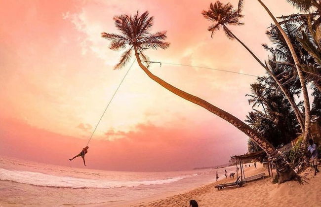 Sana Guest - Photo 34