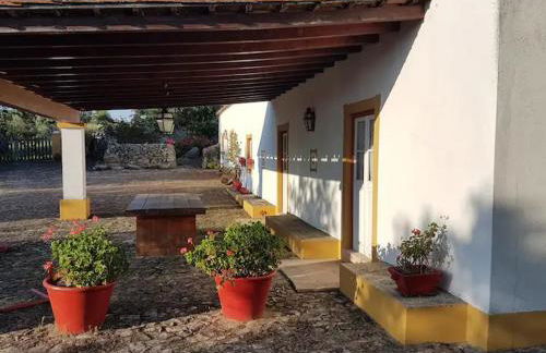 Monte da Tarouca no Alto Alentejo - Foto 13