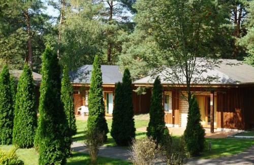 Białe Brenno - Foto 20