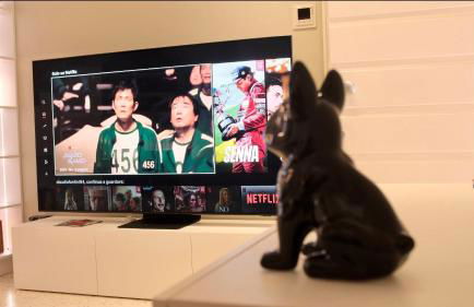 Ca' Maiolo - Villa con piscina - Foto 34