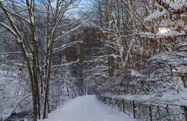 Le Cocon des Cîmes - Photo 31
