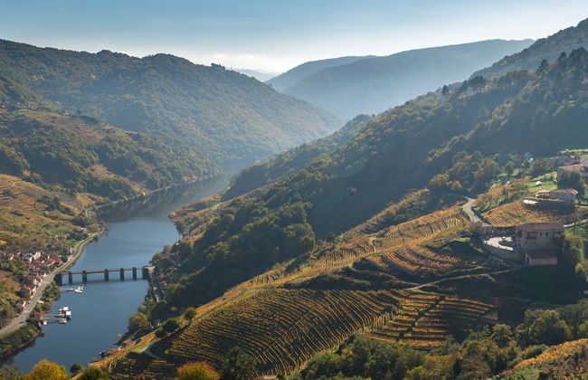 Tour in Chantada - Foto 6