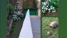 Apartmani Gaga - Foto 4