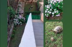 Apartmani Gaga - Foto 4