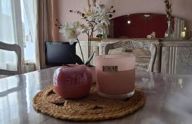 Appartement lumineux avec vue sur les montagnes. - Foto 12