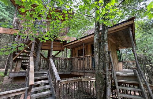 Little Birds Treehouse - Foto 16