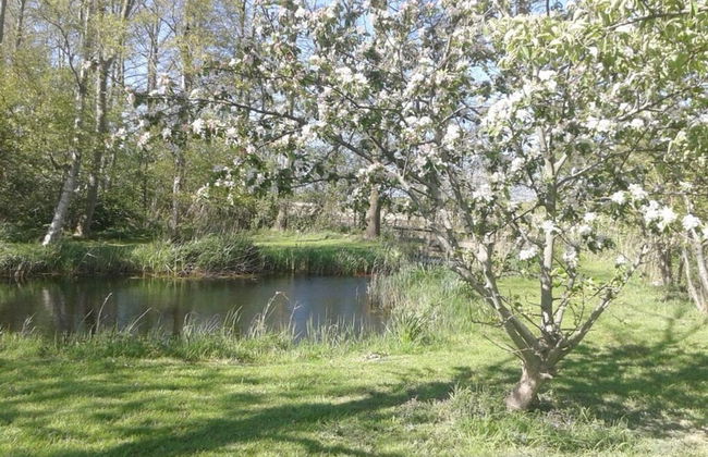 Country Life Comfortable Holiday Residence - Foto 15