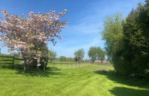 Whitehall Farm - Photo 5