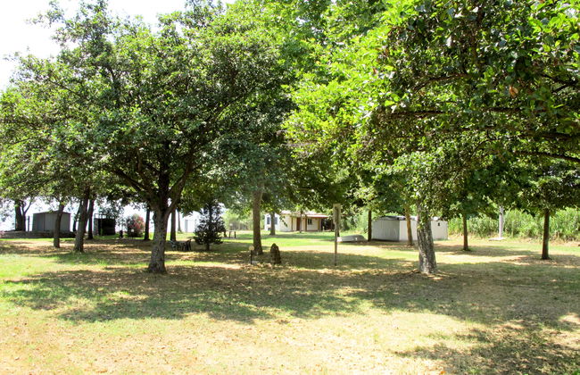 Il Podere del Lago - Foto 17