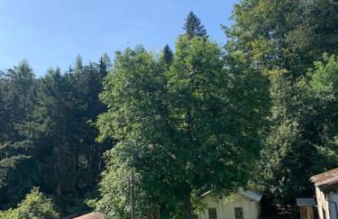 Ferienwohnung Waldblick - Foto 9