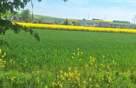Feriendomizil-Vulkaneifel - Foto 53
