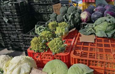 Apartamento Francisco Casanovas - Foto 72