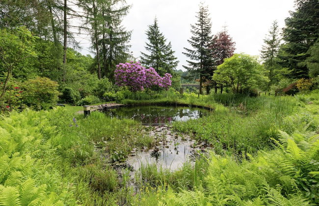 Spacious Cottage in Robertville With Swimming Pool - Foto 26