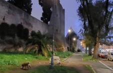 The Golden Pyramid - Photo 32