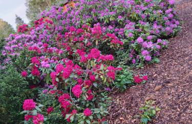 Ferienhaus Leon mit Sauna - Foto 25