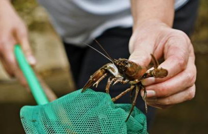 Moulin de Record - Foto 29