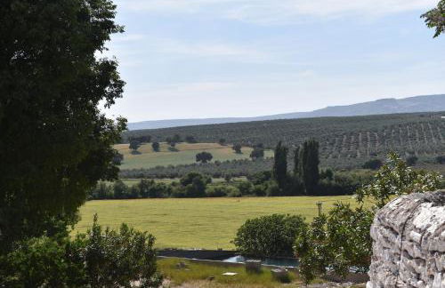 Apartamentos Turísticos La Teja - Foto 38