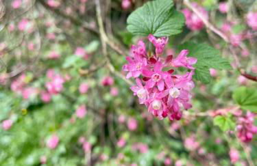 Grande Maison à la Campagne - Foto 30