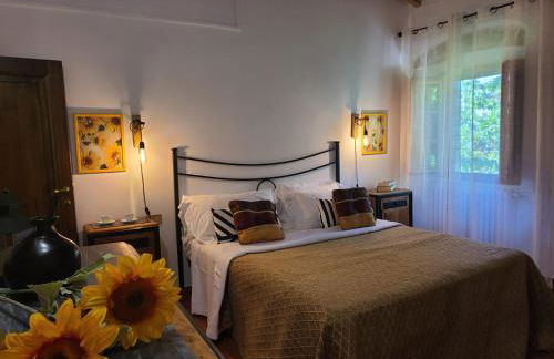 Podere Piana - Foto 17