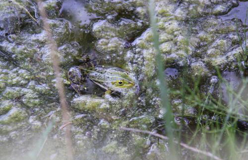 Ferien im Bomlitztal - Foto 41