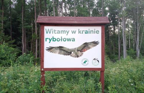 Dom Podróżnika -aktywne wakacje - Foto 38