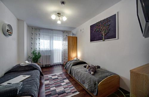 Apartamenty Bieszczady - Foto 16