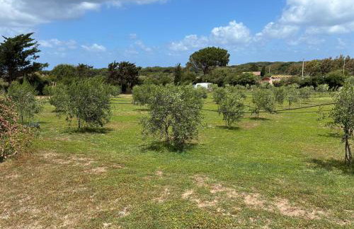 Terra - Foto 7