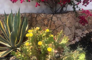 Esmeralda 15 Caleta de Fuste - Photo 25