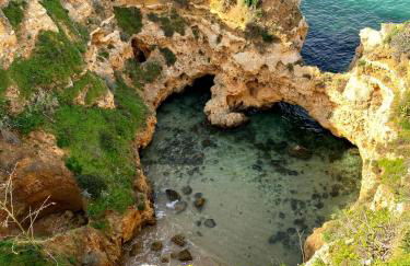 Casa Felicidade - Foto 75