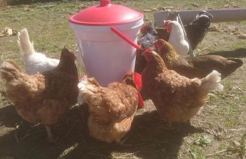 Ostseeblick im Andersenhof - Photo 19