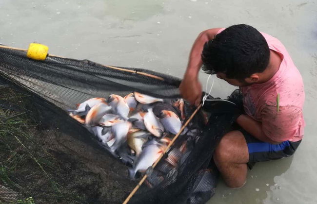 Circuit de 5, 6 ou 8 jours au centre du Pérou - Photo 3