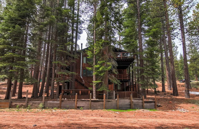 Bear Haus - Fur Babies Welcome! - Foto 30