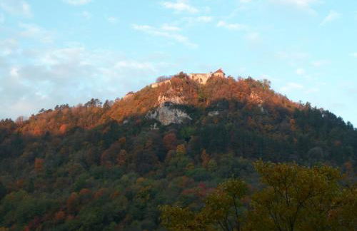 L'Aristoloche - Foto 15