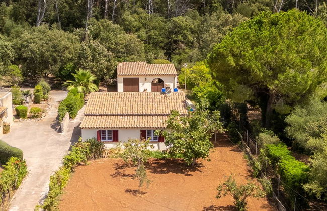 Ullastro Pollença - Foto 35