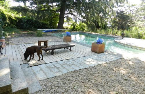 La Casita de Navacerrada - Foto 7