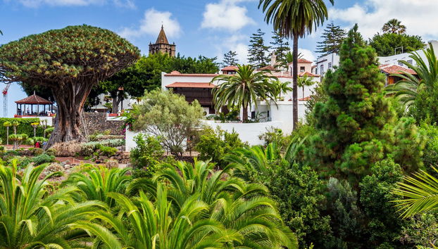 Entrada al Drago Milenario - Foto 2