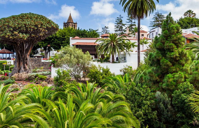 Entrada al Drago Milenario - Foto 2