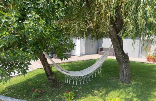 Casa da nascente douro - Foto 47