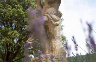 Engardin, un havre de paix en Provence Verte - Foto 54