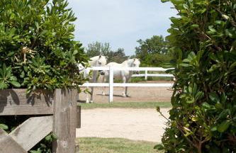 Gîtes Equestres Lou Caloun - Les Saintes Maries de la Mer - Foto 77