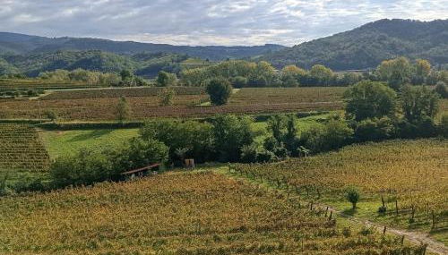 Ca Lovisotto - Foto 4