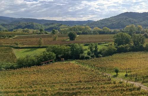 Ca Lovisotto - Foto 4