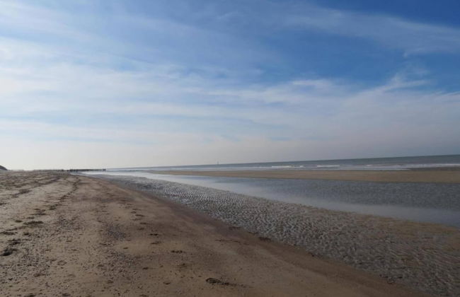 Studio in Domburg Near Beach and Nature Reserve - Photo 40