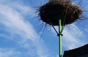 Biolandhof Dorn Highlander vom Elbdeich - Foto 10