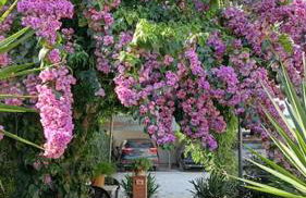 Appartamento La Stazione - Foto 13