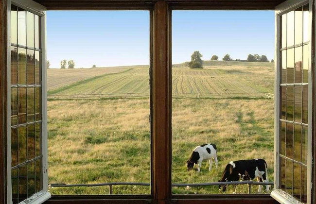 Stylish House in the Countryside 5 km From the sea - Photo 1