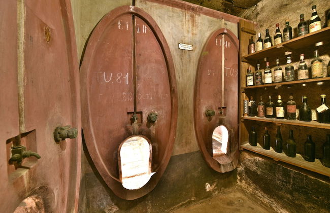 Roseto del Drago - Foto 49