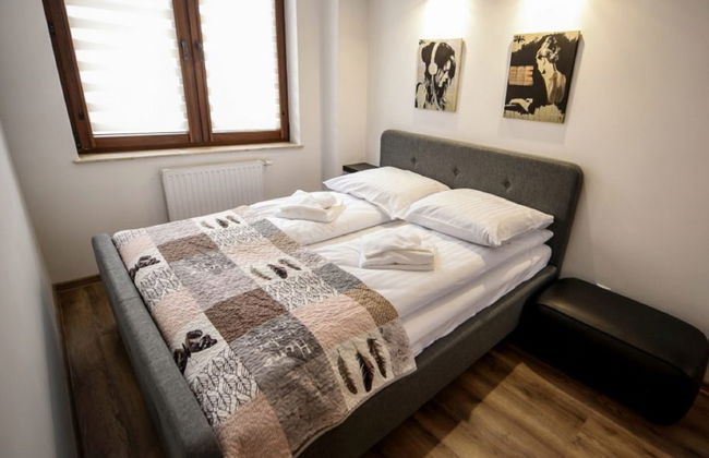 Zielony Zdrój - Foto 11