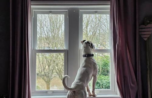 Your Home from Home - River bank - Foto 12