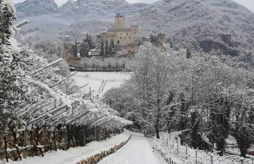 Appartamento CS - Foto 19